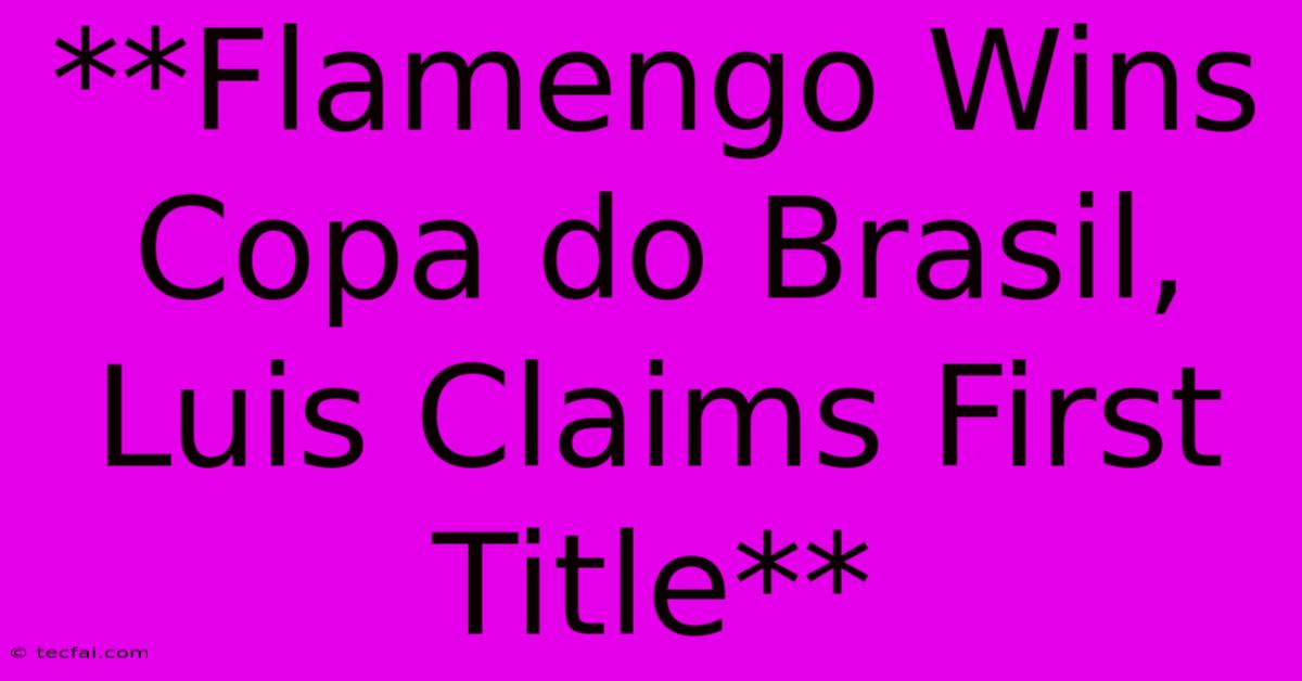 **Flamengo Wins Copa Do Brasil, Luis Claims First Title**