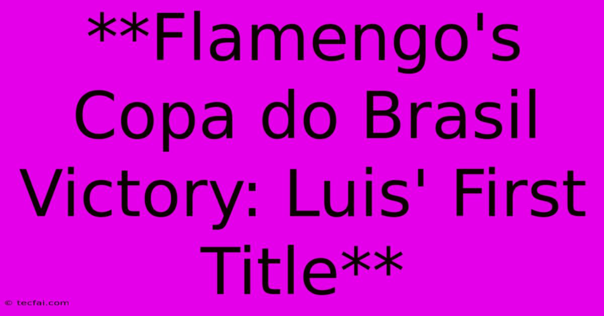 **Flamengo's Copa Do Brasil Victory: Luis' First Title**