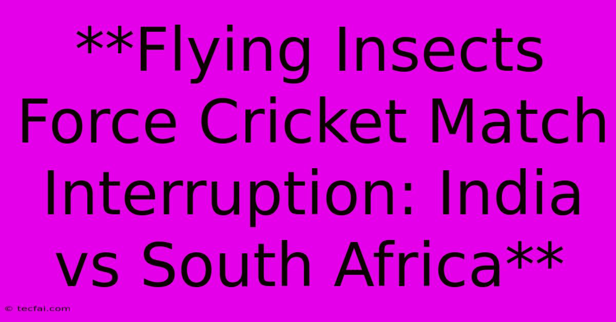 **Flying Insects Force Cricket Match Interruption: India Vs South Africa**