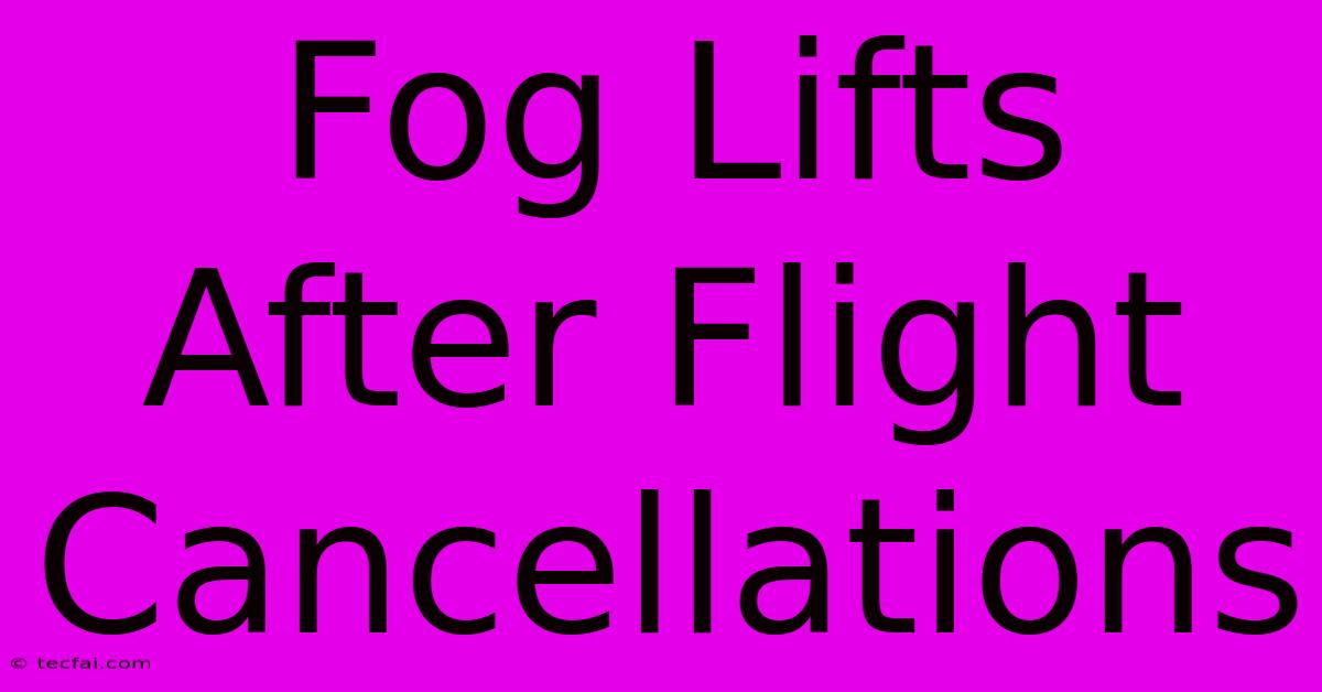 Fog Lifts After Flight Cancellations