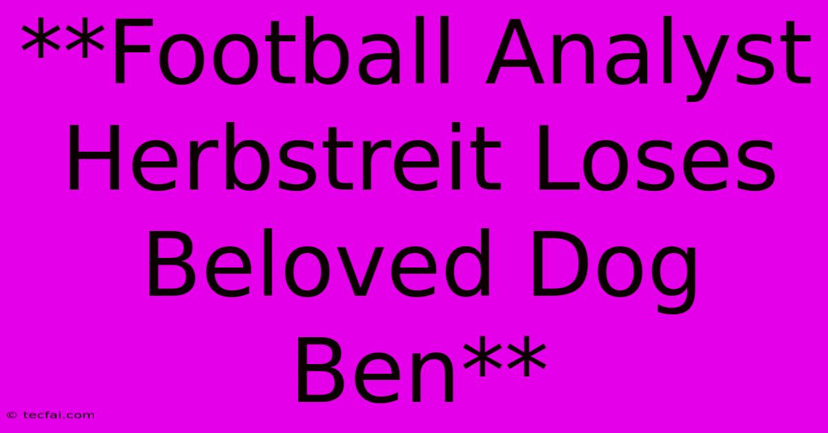 **Football Analyst Herbstreit Loses Beloved Dog Ben**