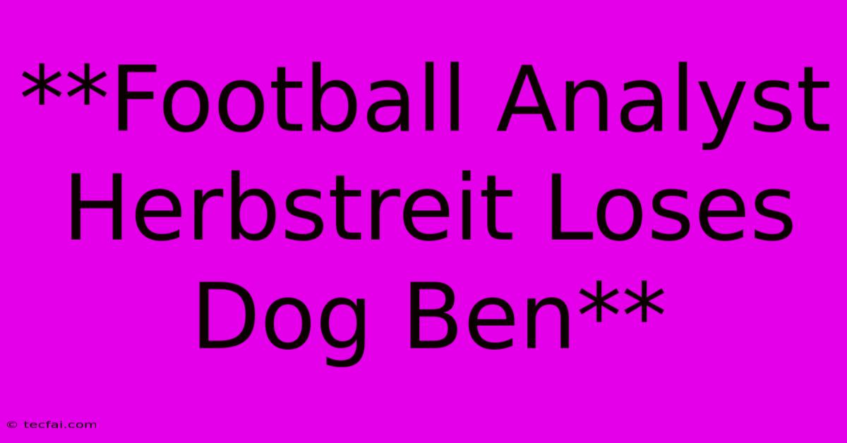 **Football Analyst Herbstreit Loses Dog Ben**