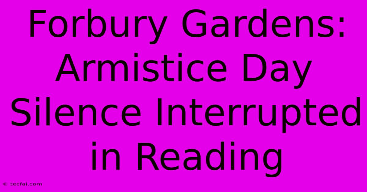 Forbury Gardens: Armistice Day Silence Interrupted In Reading 