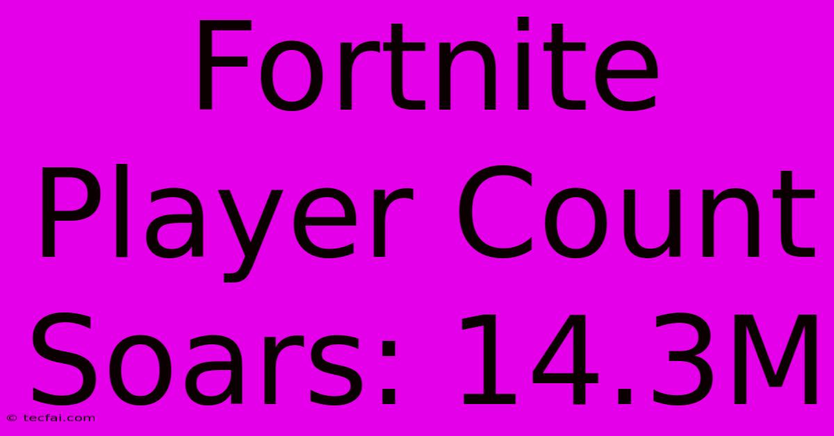 Fortnite Player Count Soars: 14.3M