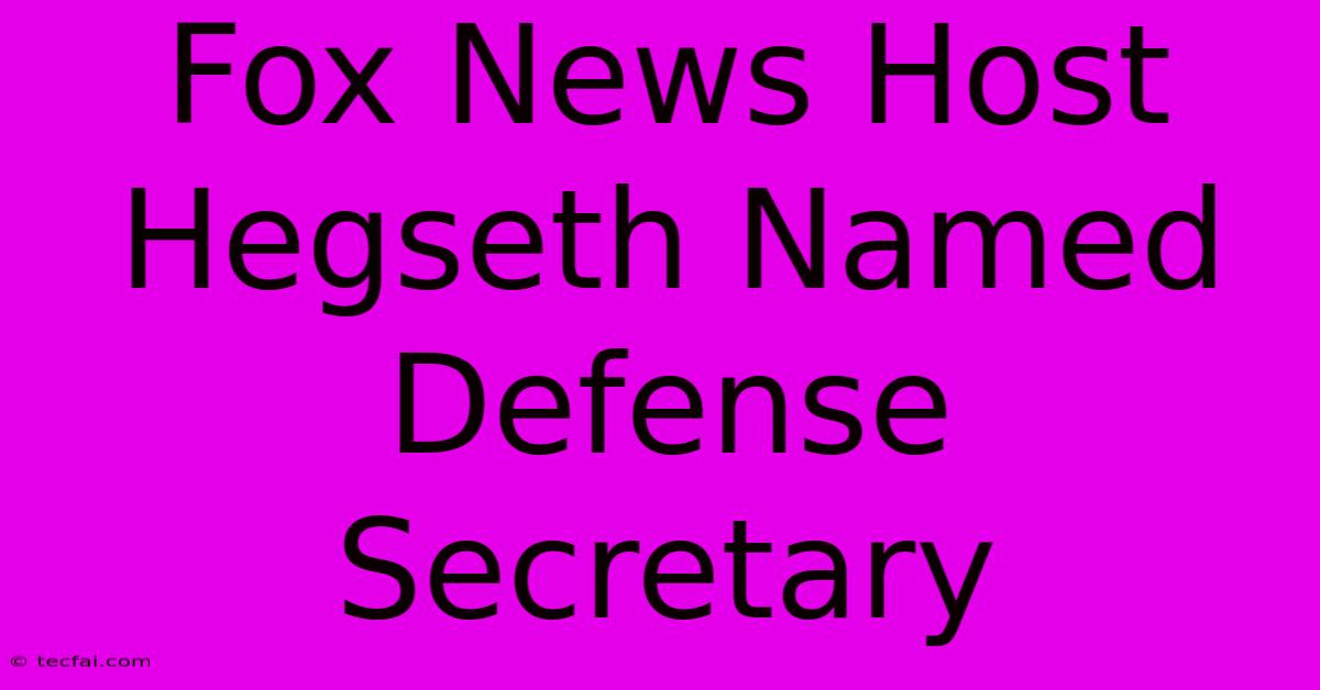 Fox News Host Hegseth Named Defense Secretary