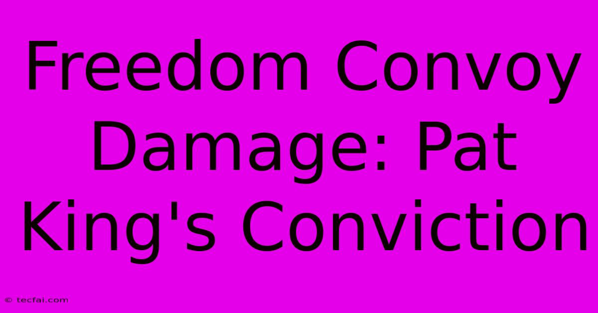 Freedom Convoy Damage: Pat King's Conviction