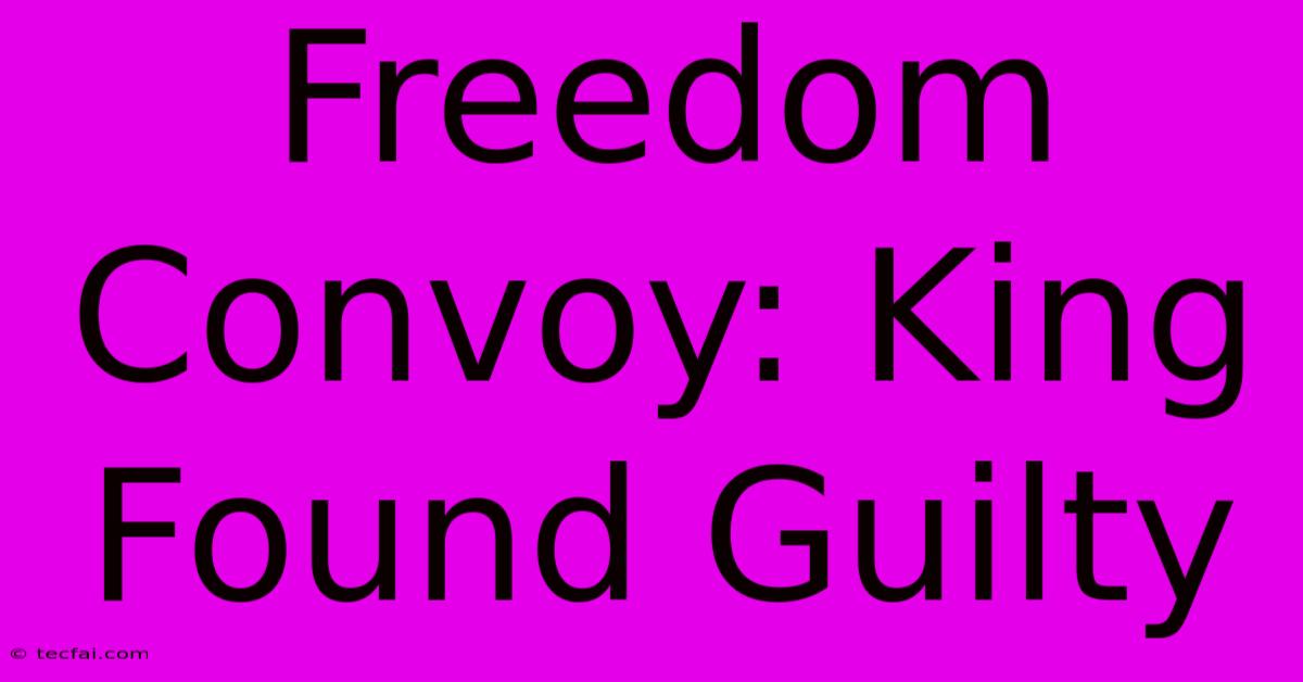 Freedom Convoy: King Found Guilty