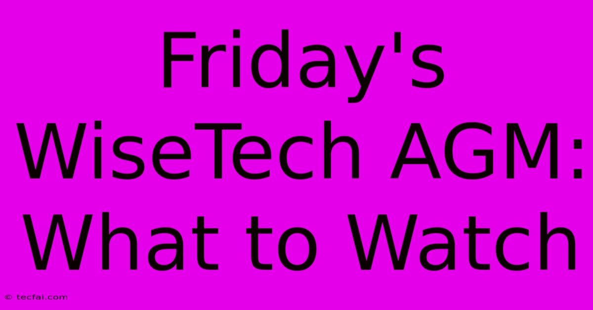 Friday's WiseTech AGM: What To Watch