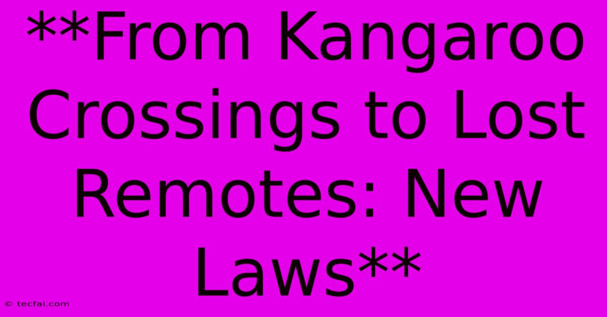 **From Kangaroo Crossings To Lost Remotes: New Laws**