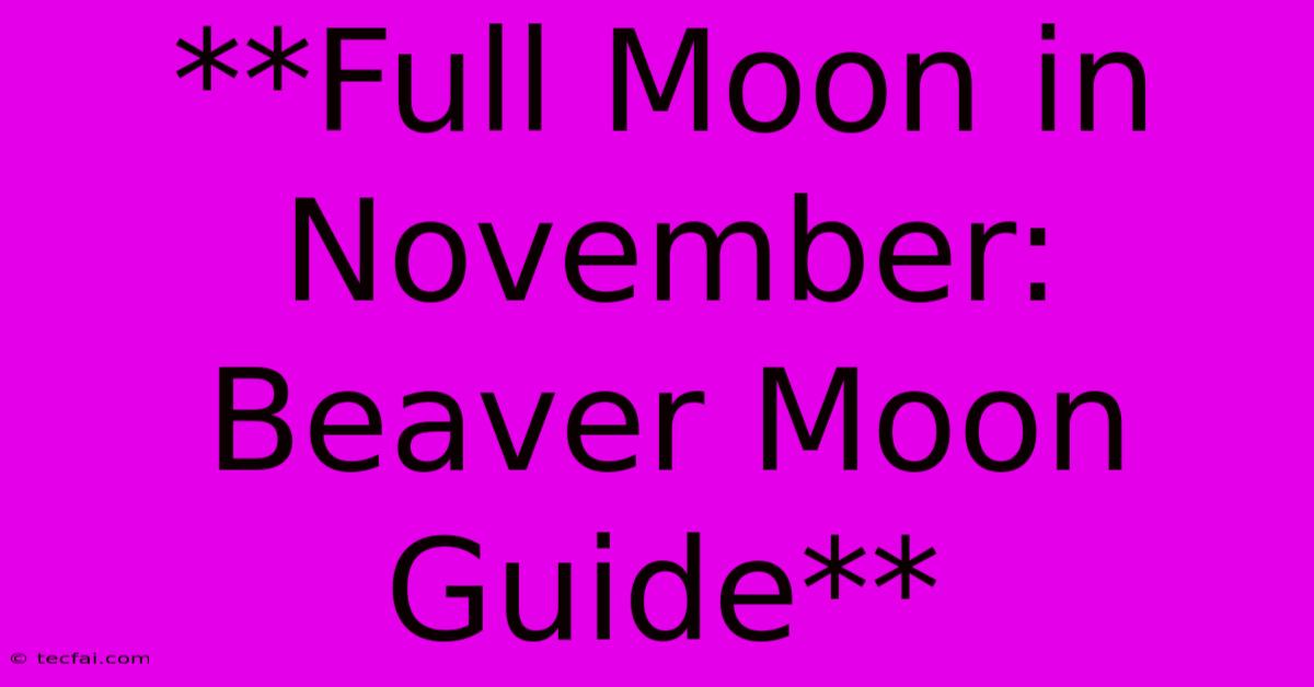 **Full Moon In November: Beaver Moon Guide**