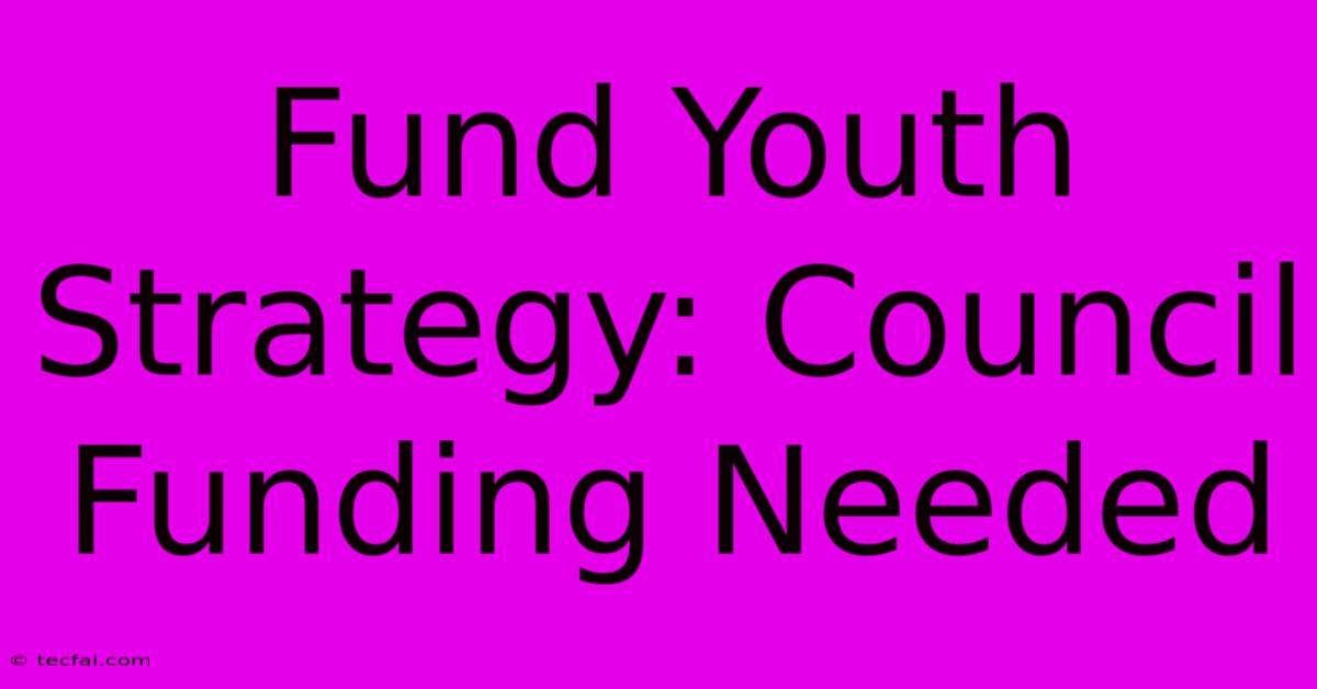 Fund Youth Strategy: Council Funding Needed