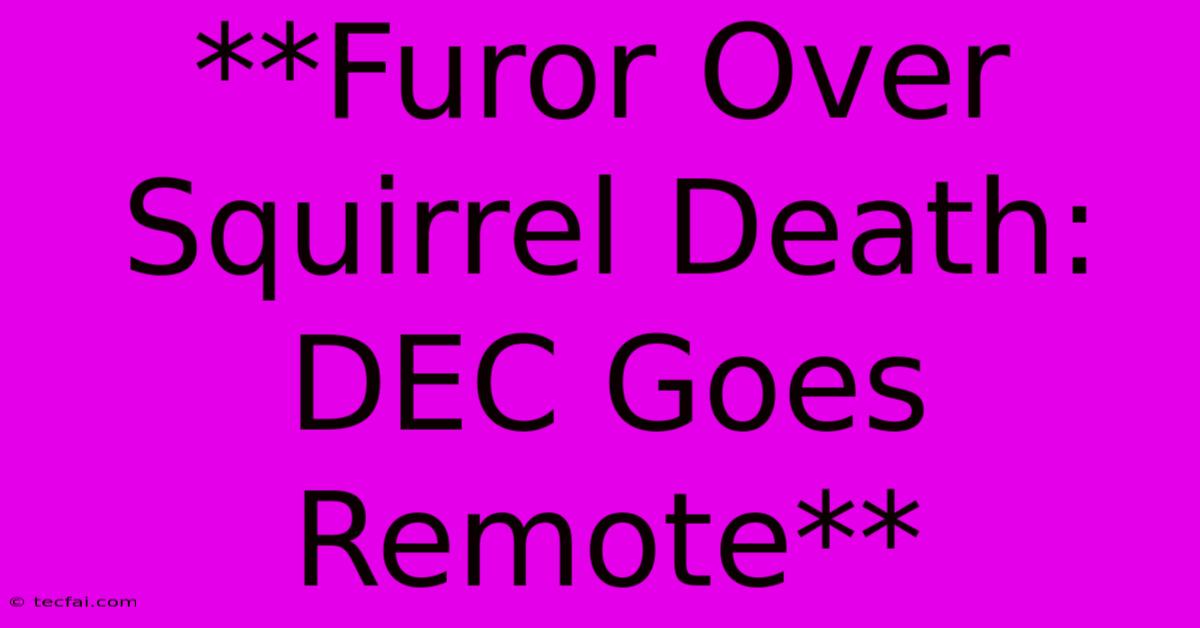 **Furor Over Squirrel Death: DEC Goes Remote**