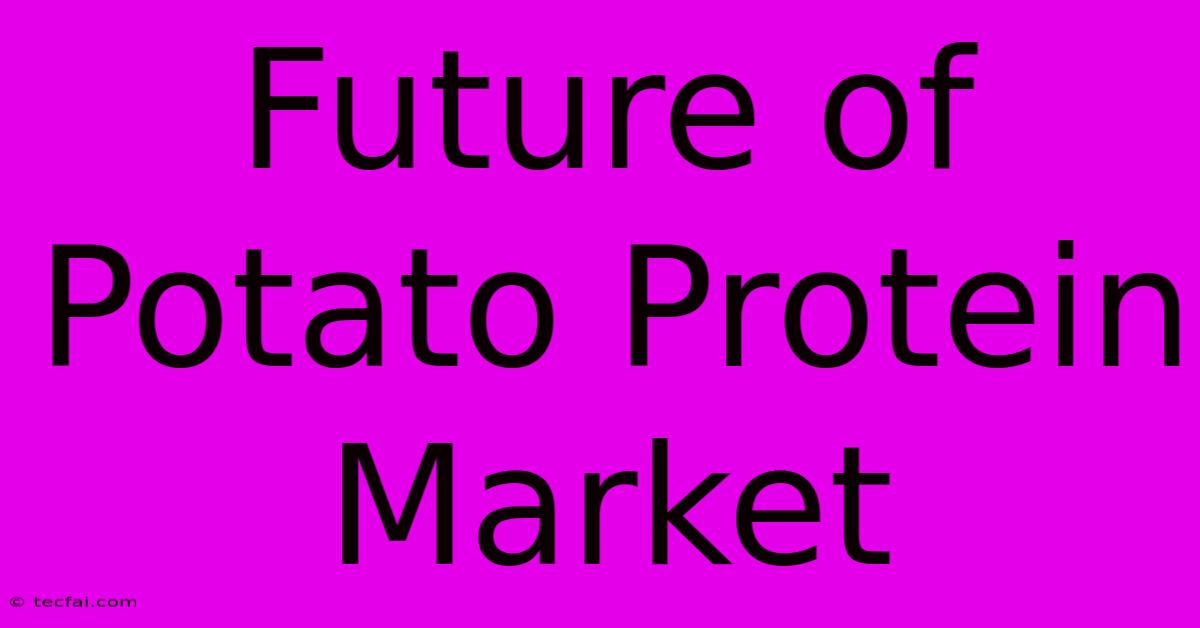 Future Of Potato Protein Market