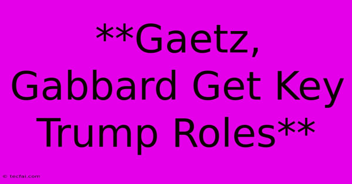 **Gaetz, Gabbard Get Key Trump Roles**