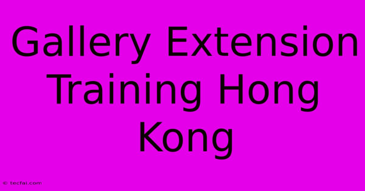 Gallery Extension Training Hong Kong