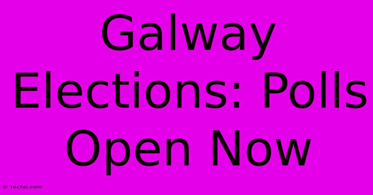 Galway Elections: Polls Open Now