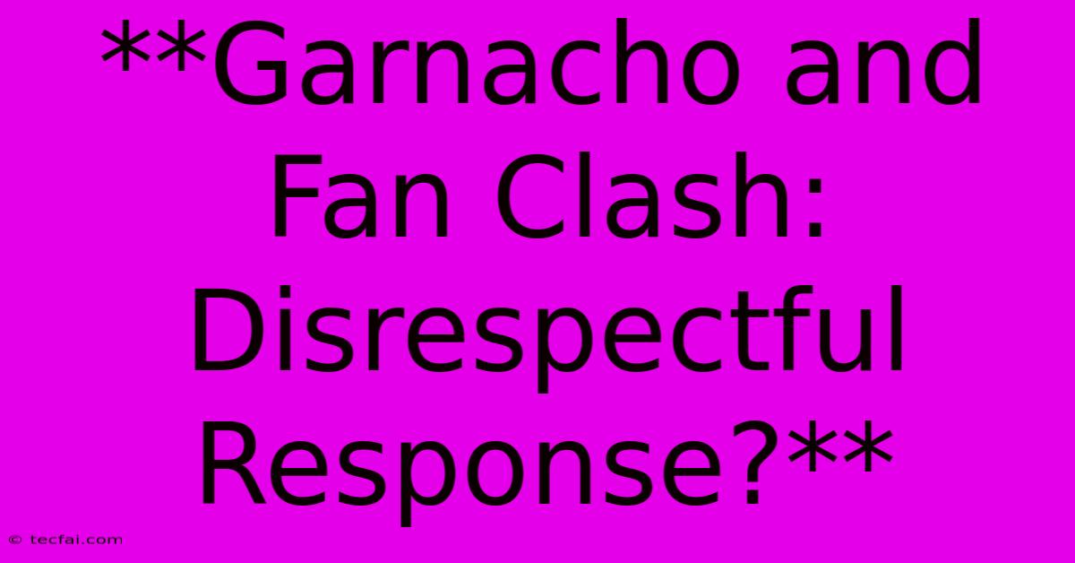 **Garnacho And Fan Clash: Disrespectful Response?** 