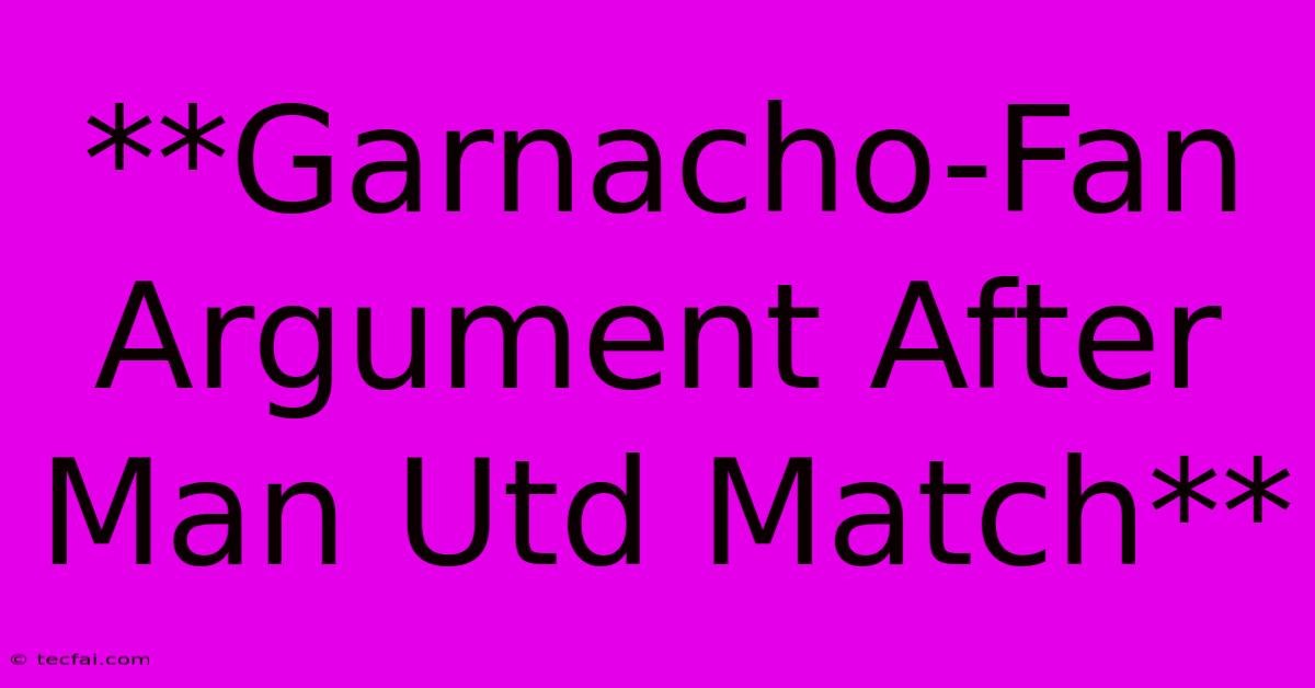 **Garnacho-Fan Argument After Man Utd Match**