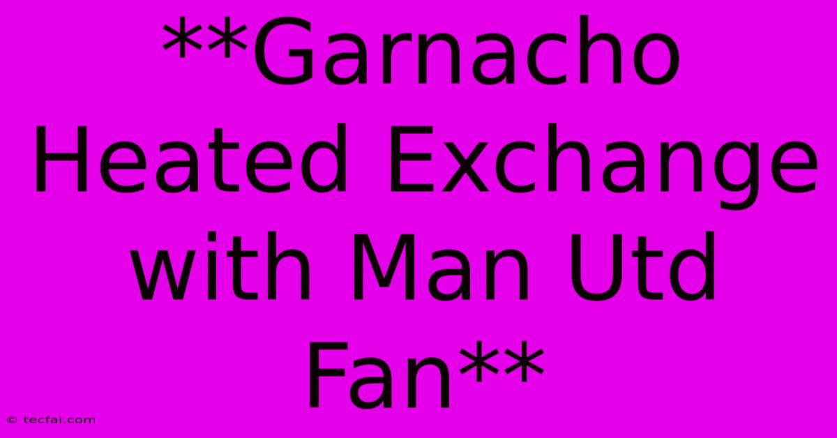 **Garnacho Heated Exchange With Man Utd Fan**