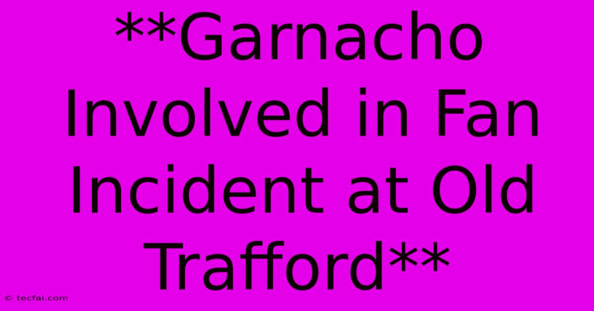 **Garnacho Involved In Fan Incident At Old Trafford** 