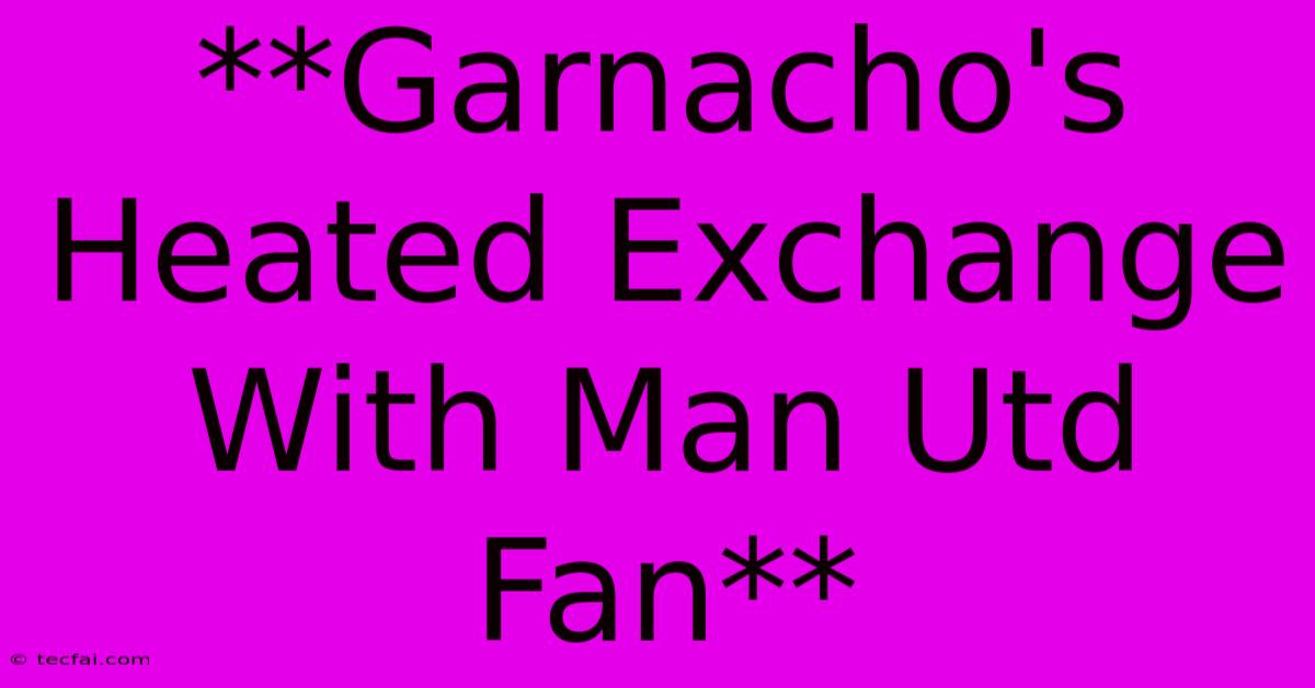 **Garnacho's Heated Exchange With Man Utd Fan** 