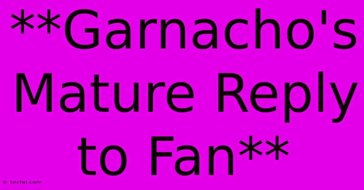 **Garnacho's  Mature Reply To Fan** 