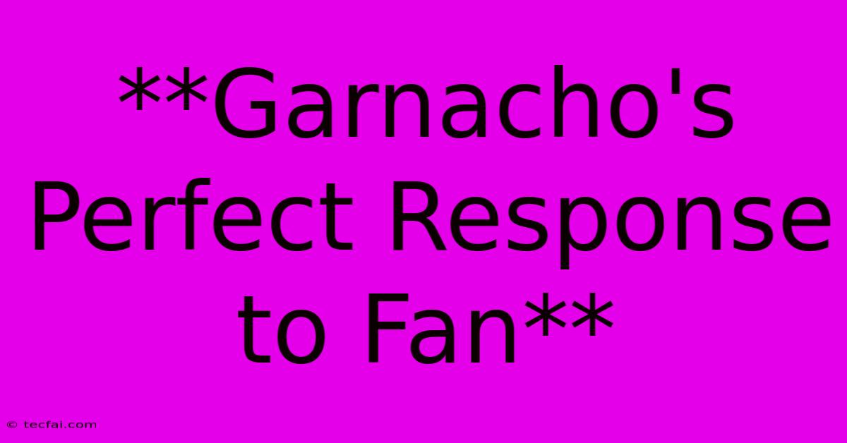 **Garnacho's Perfect Response To Fan**