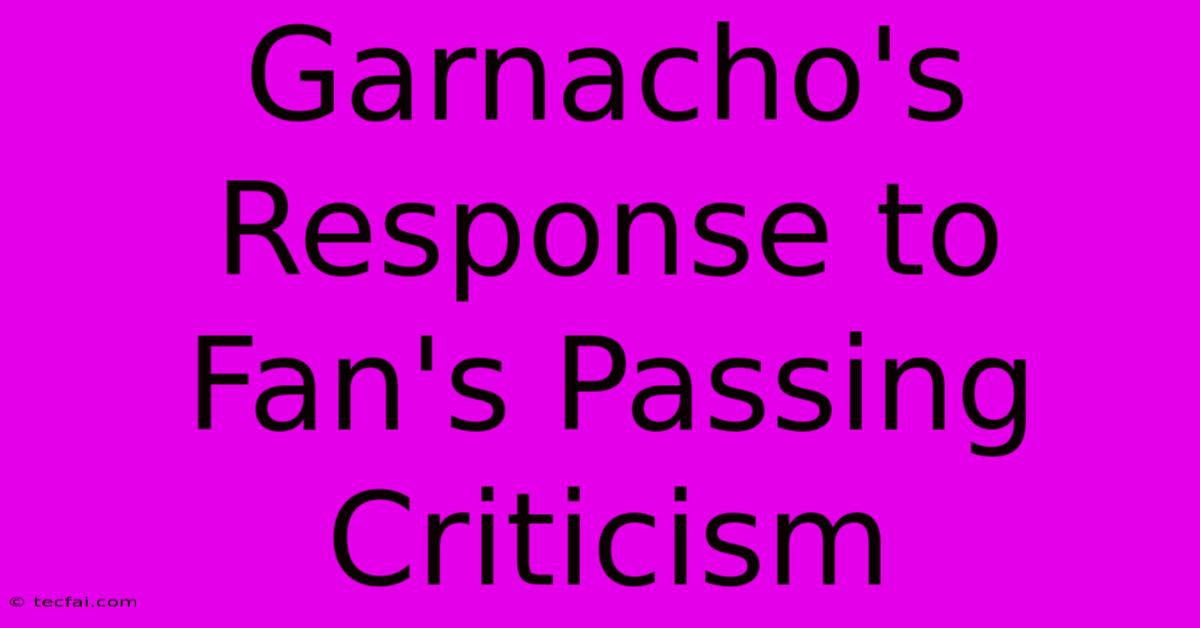 Garnacho's Response To Fan's Passing Criticism