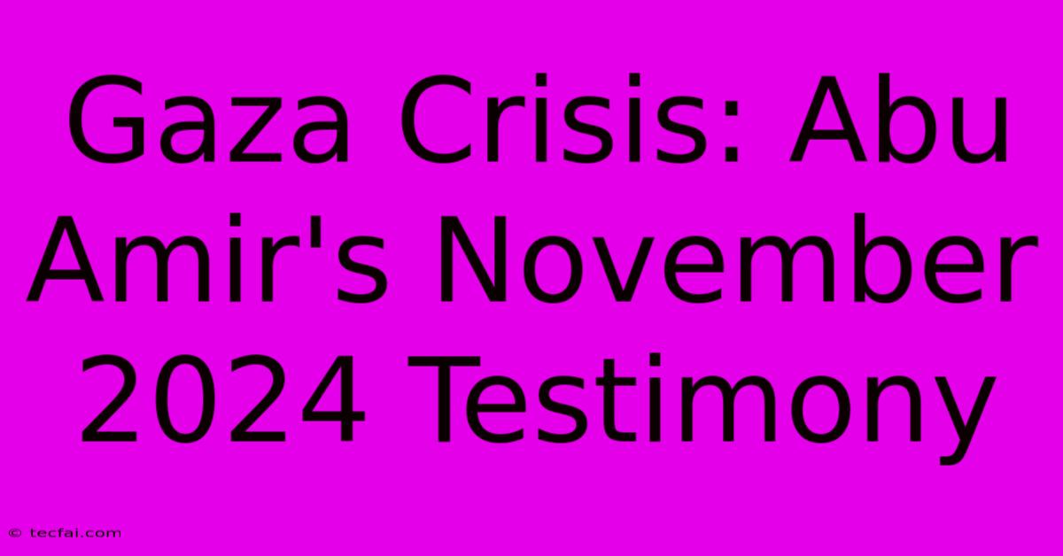 Gaza Crisis: Abu Amir's November 2024 Testimony