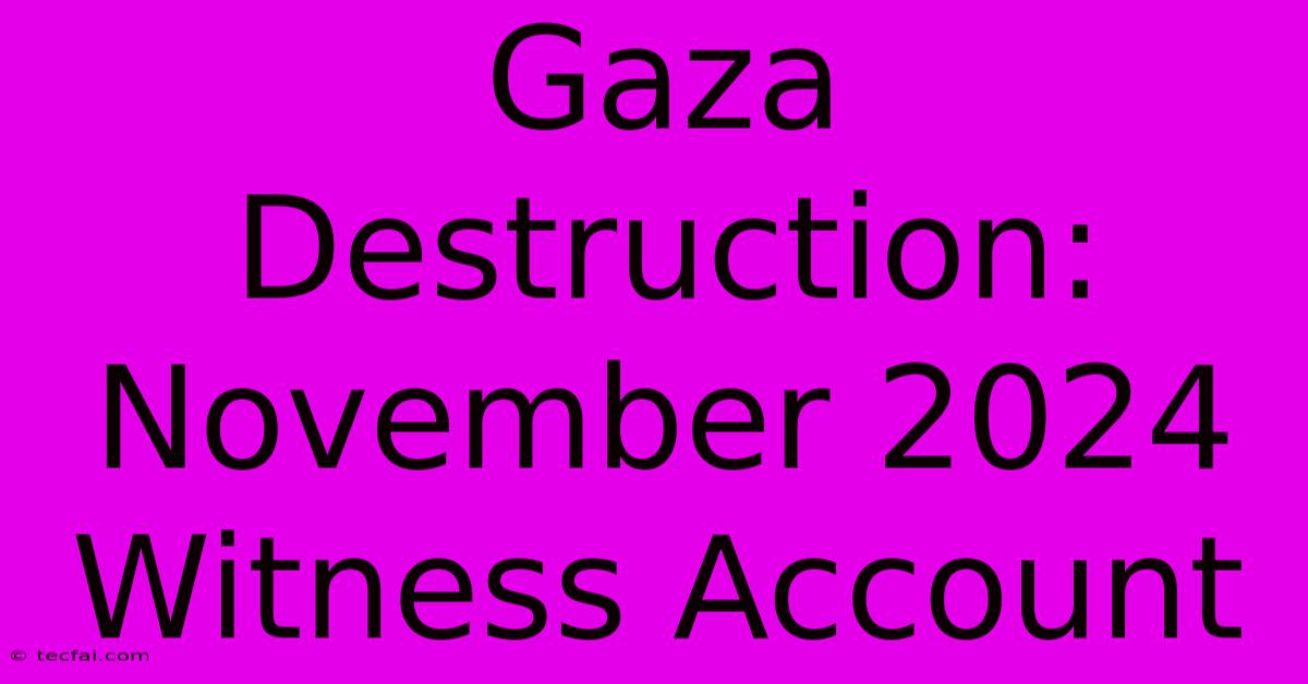 Gaza Destruction: November 2024 Witness Account