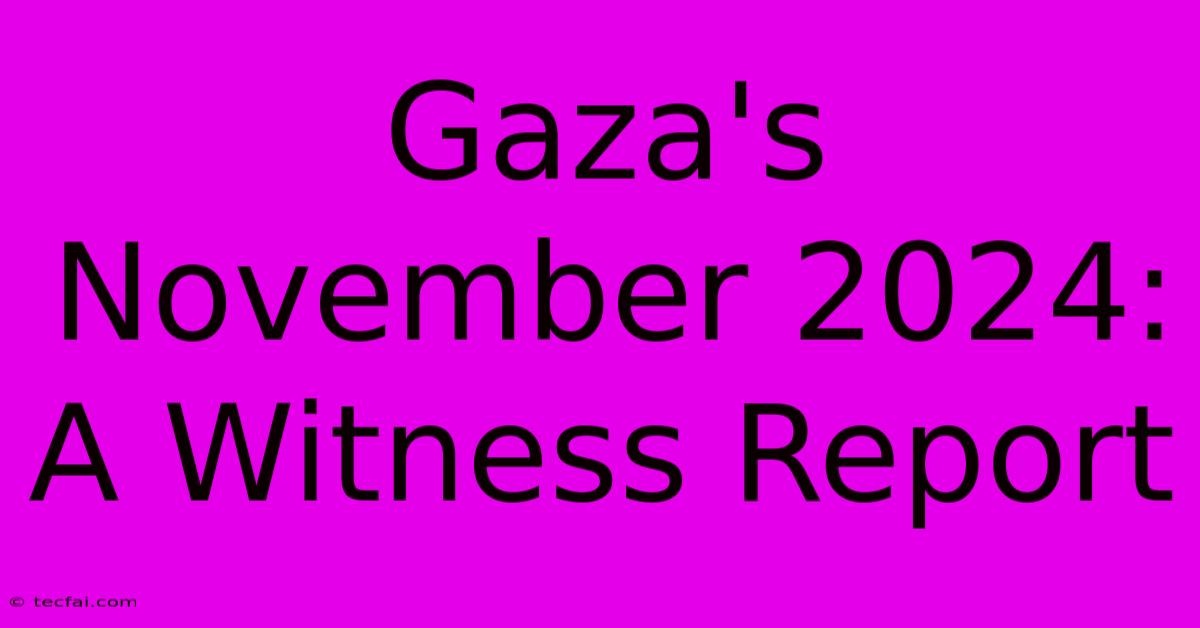 Gaza's November 2024: A Witness Report