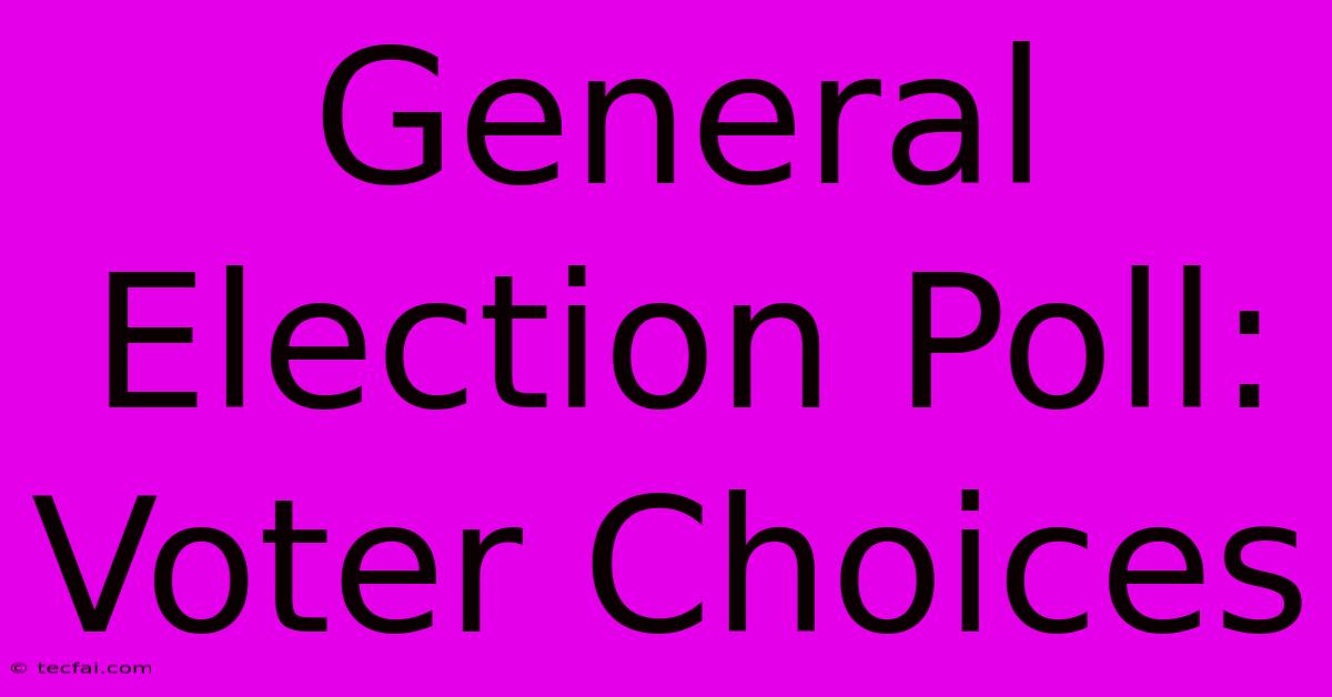 General Election Poll: Voter Choices