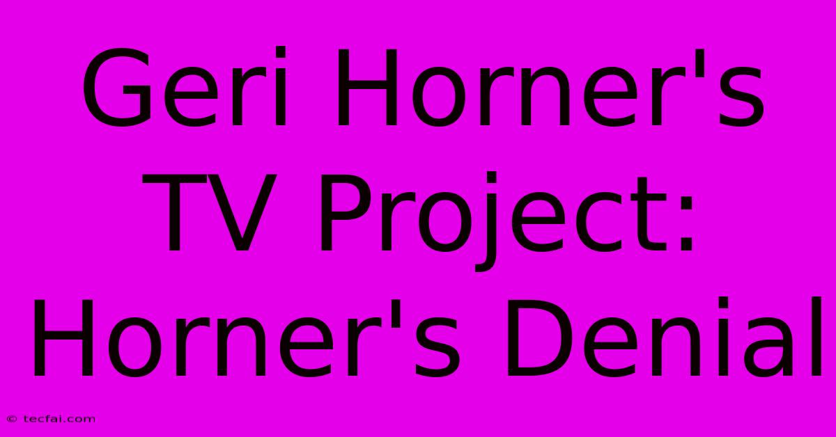 Geri Horner's TV Project: Horner's Denial