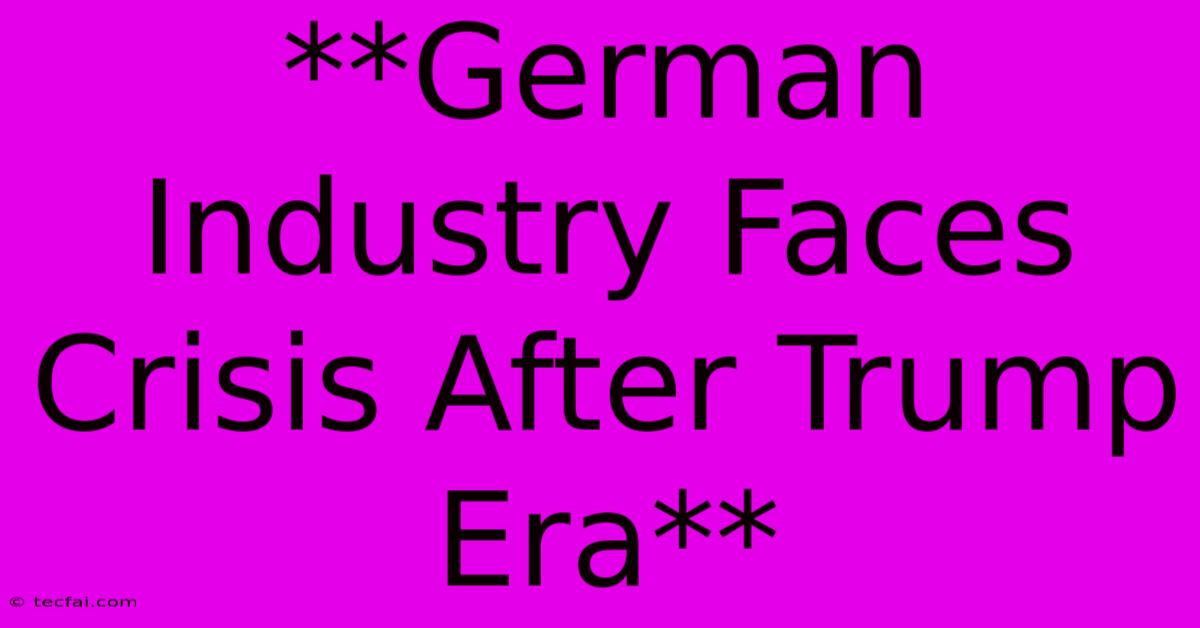 **German Industry Faces Crisis After Trump Era**