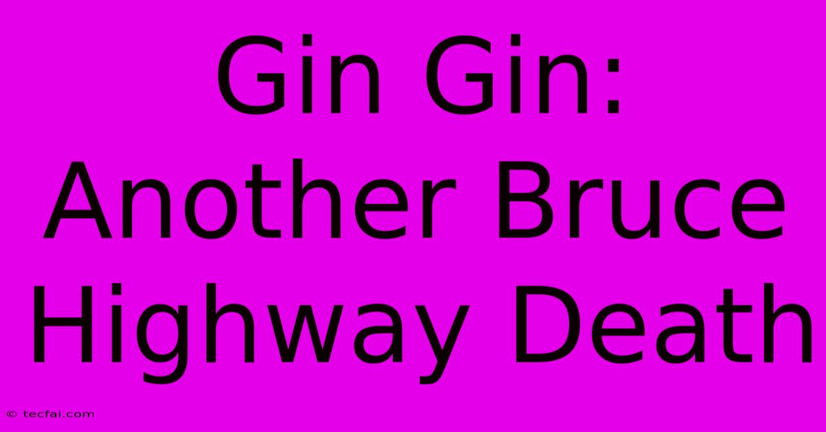 Gin Gin: Another Bruce Highway Death