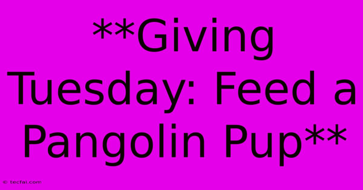 **Giving Tuesday: Feed A Pangolin Pup**