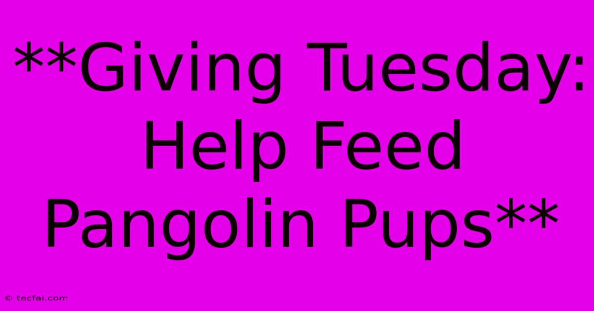 **Giving Tuesday: Help Feed Pangolin Pups**