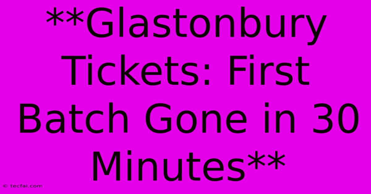 **Glastonbury Tickets: First Batch Gone In 30 Minutes**