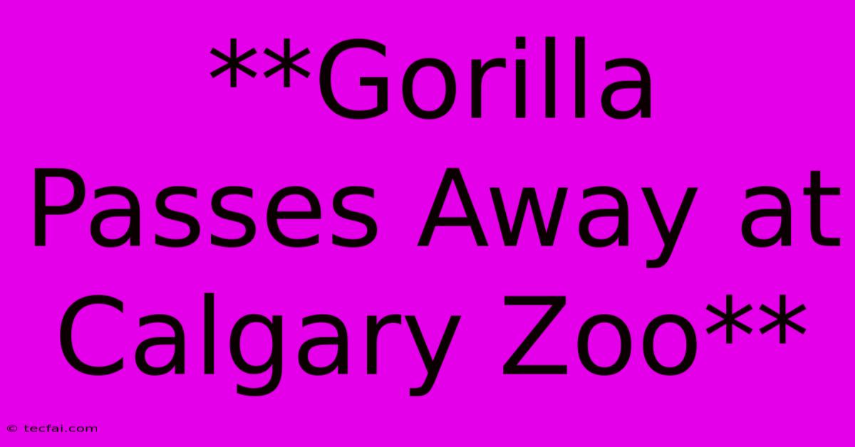 **Gorilla Passes Away At Calgary Zoo**