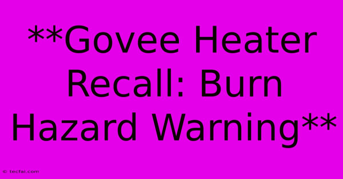 **Govee Heater Recall: Burn Hazard Warning**