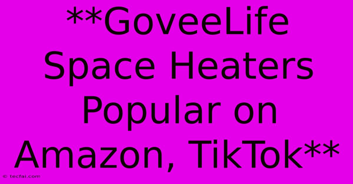 **GoveeLife Space Heaters Popular On Amazon, TikTok**