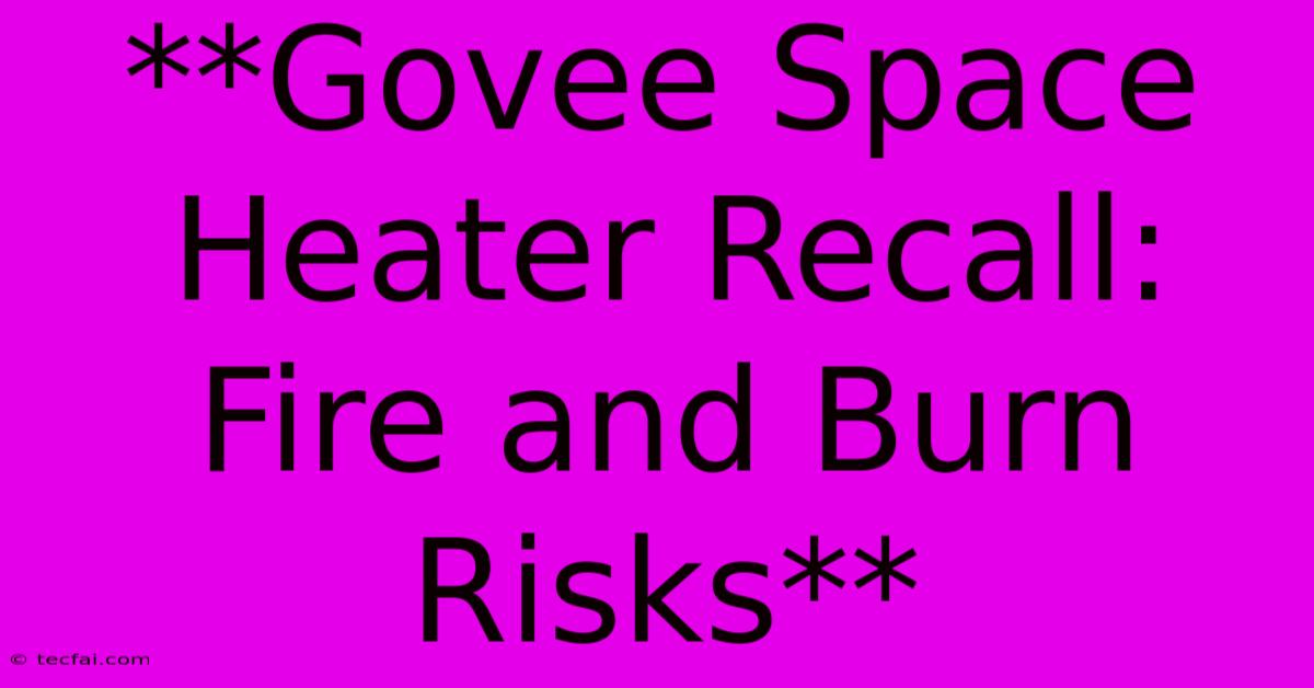 **Govee Space Heater Recall: Fire And Burn Risks** 