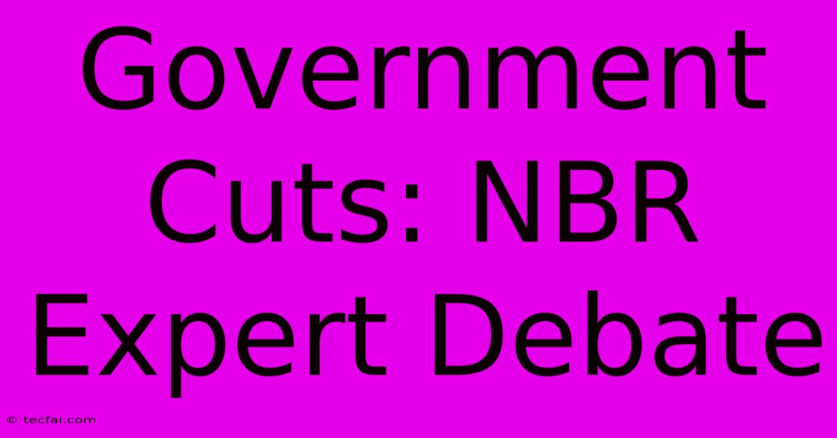 Government Cuts: NBR Expert Debate