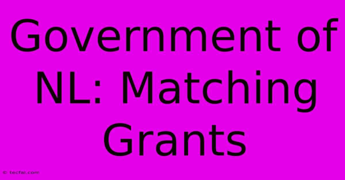 Government Of NL: Matching Grants