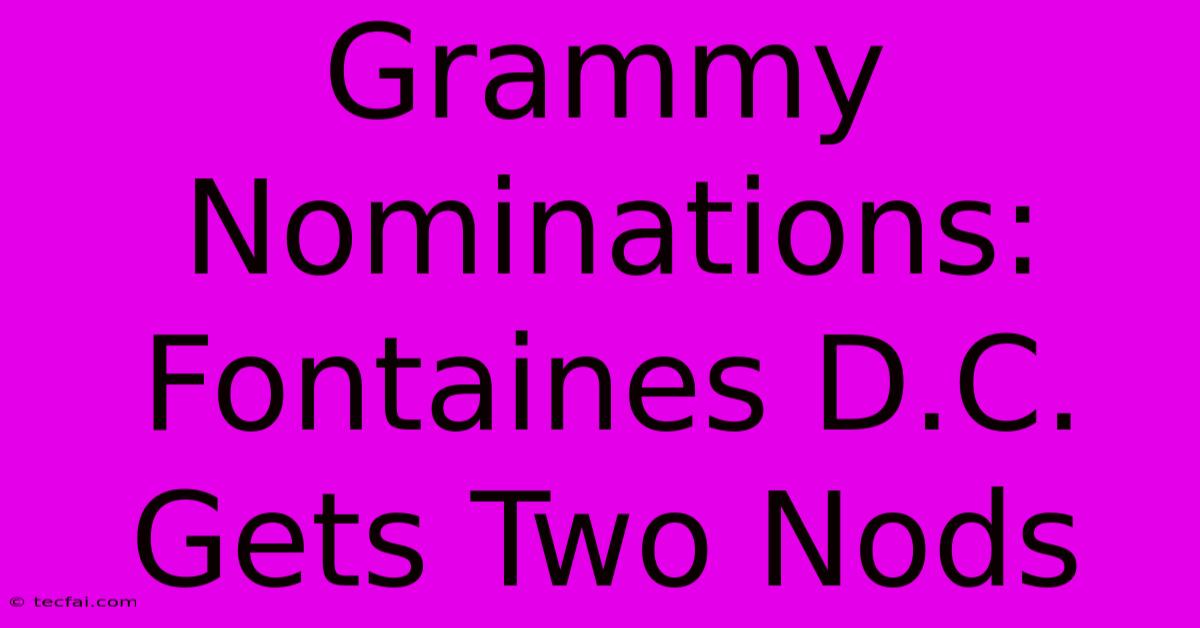 Grammy Nominations: Fontaines D.C. Gets Two Nods