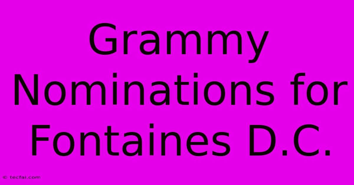 Grammy Nominations For Fontaines D.C.