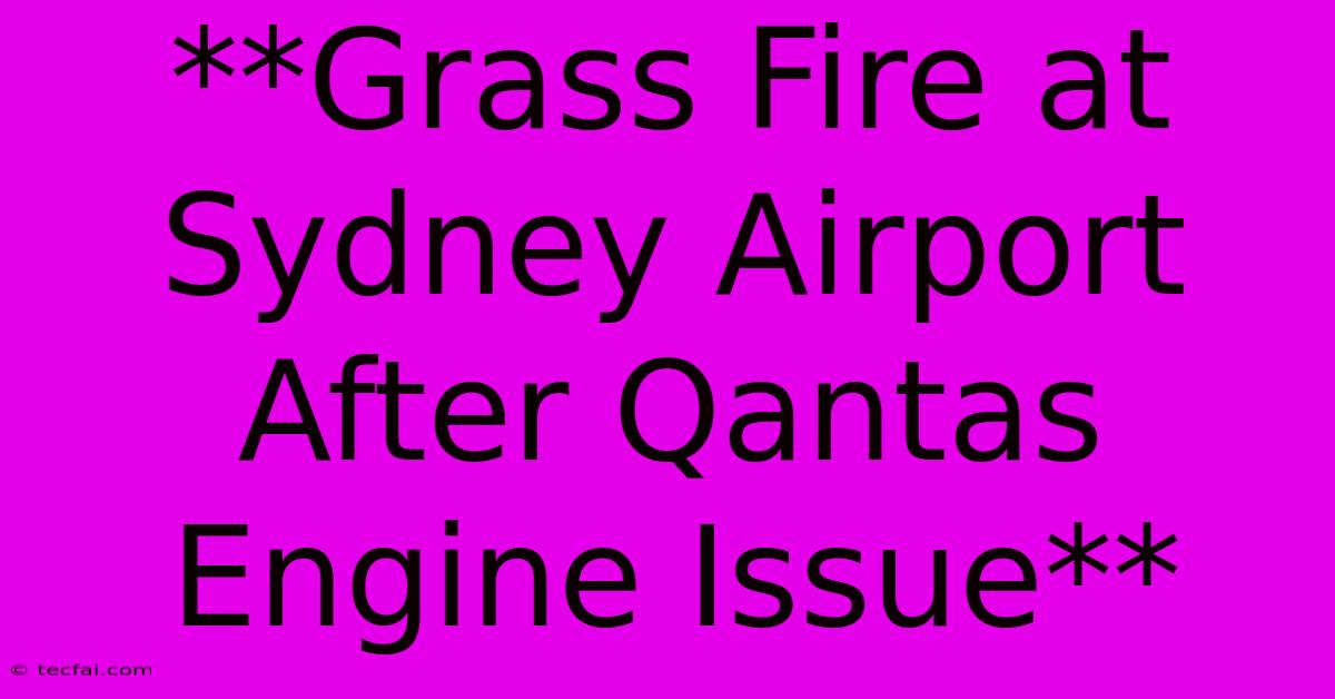 **Grass Fire At Sydney Airport After Qantas Engine Issue** 