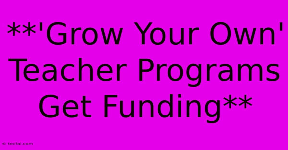 **'Grow Your Own' Teacher Programs Get Funding**