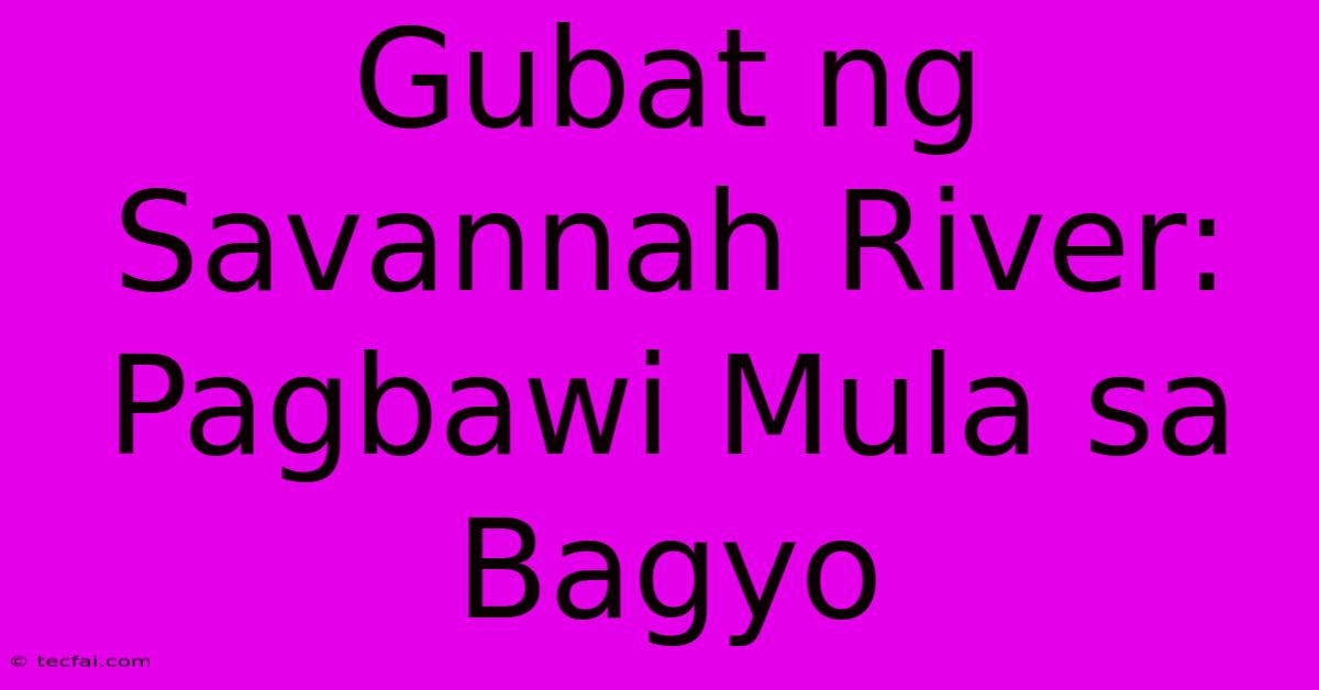 Gubat Ng Savannah River:  Pagbawi Mula Sa Bagyo