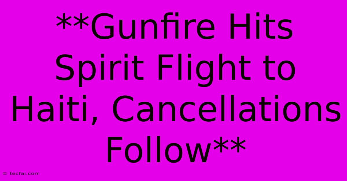 **Gunfire Hits Spirit Flight To Haiti, Cancellations Follow**